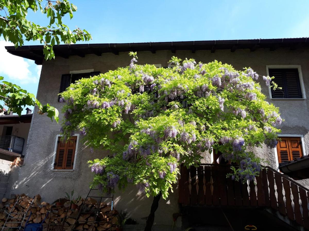 Casa Romy - B&B