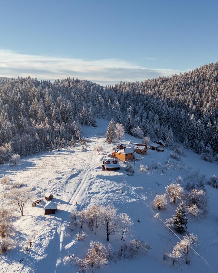 B&B Nova Varoš - Seosko turističko domaćinstvo Bojovići (Rajkova koliba) - Bed and Breakfast Nova Varoš