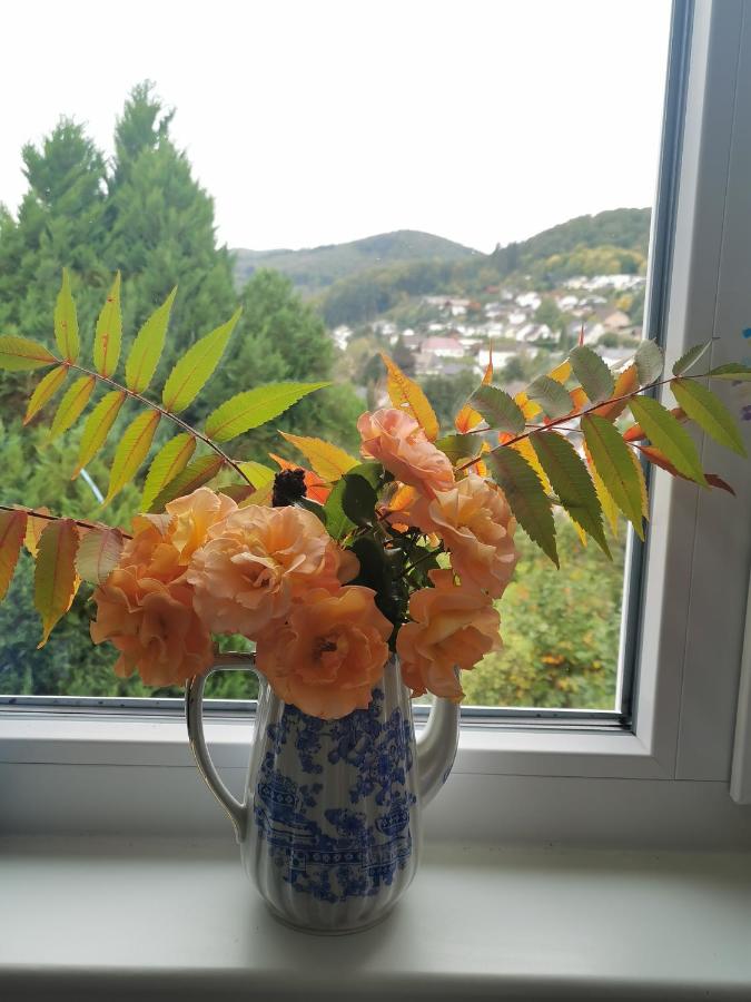 Apartments in Biedenkopf - B&B Biedenkopf