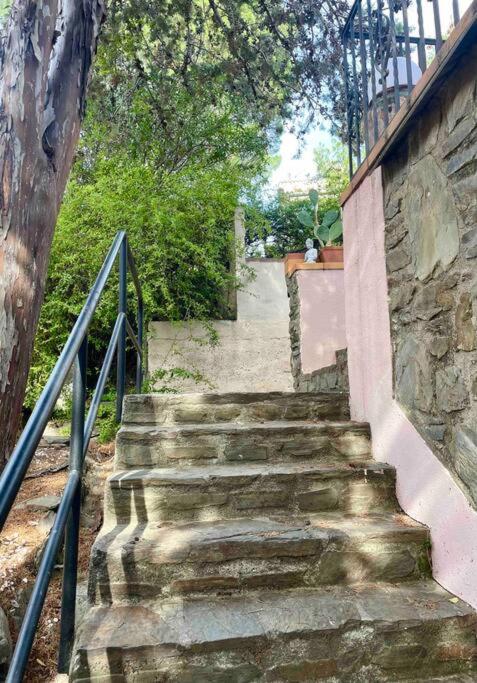 Charmante maison en plein cœur de Collioure - B&B