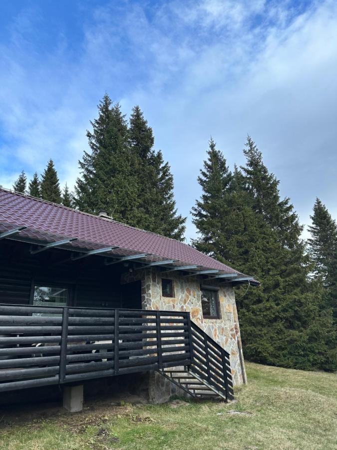 Apartma Tisa - B&B Zreče