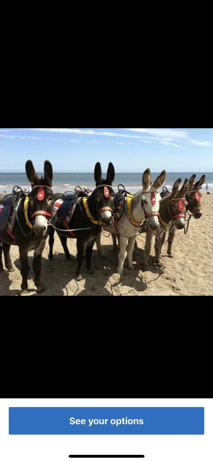 The Luxury Wolds Retreat 6 Berth 3 bedrooms beds made for arrival WIFI - B&B Ingoldmells