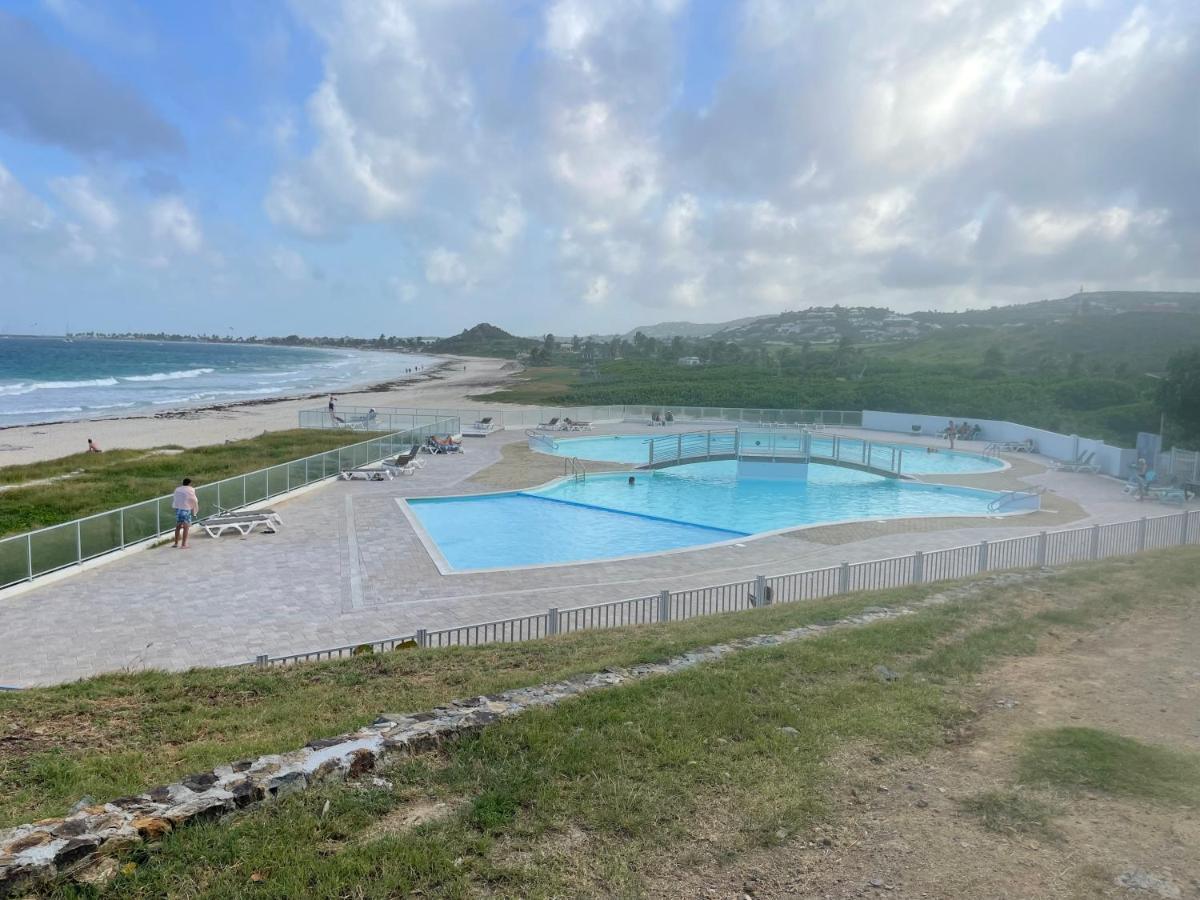 Studio Iguana - B&B
