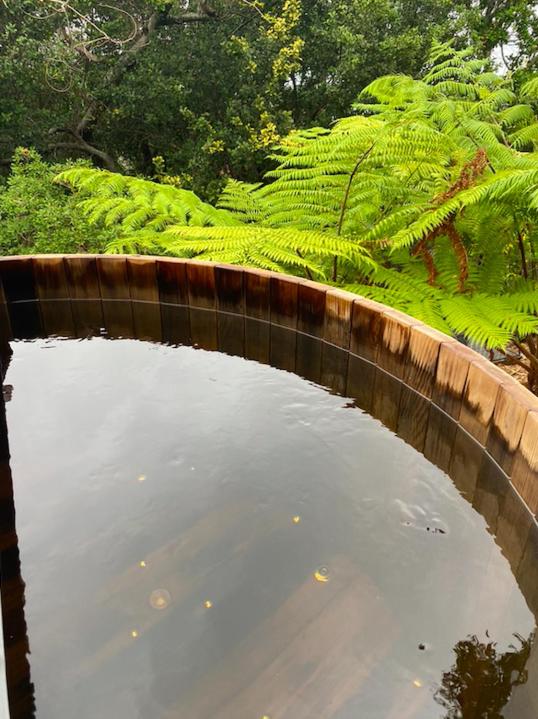 DRIFTWOOD- Hidden Gem, great view in a nature setting - B&B