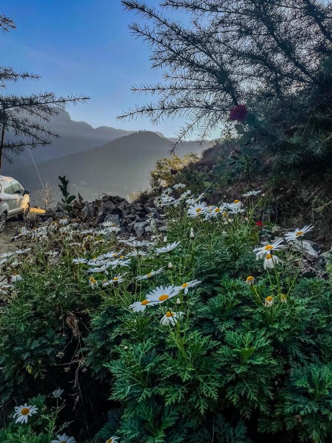 The VOID - Tirthan Valley - B&B