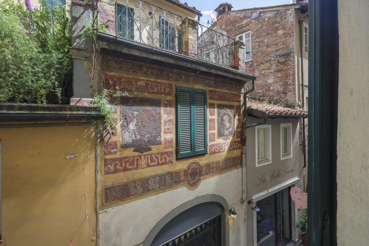 Camera Queen Superior