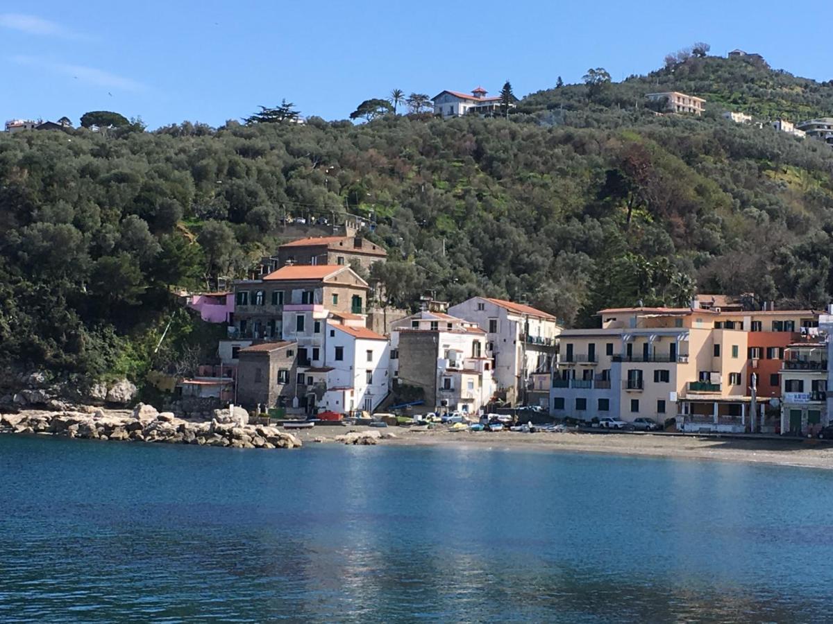 Puolo Seaside Apartment 2 - Chambres d’hôtes Massa Lubrense