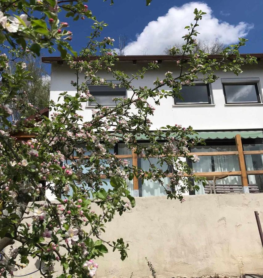 Beide Bumpkes - B&B
