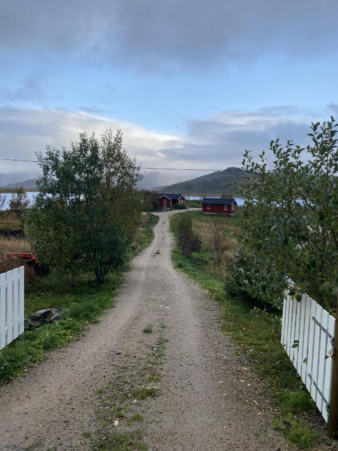 Sjarmerende hytte ved vannet - B&B