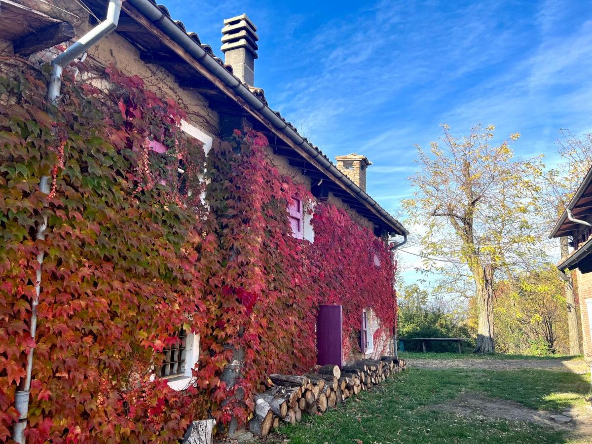 B&B Langhirano - Appartamento immerso nella natura, silenzio e riservatezza a 550 m di quota - Bed and Breakfast Langhirano