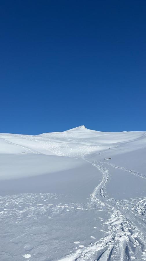 Koselig leilighet med utsikt - Bed and Breakfast Tromsø