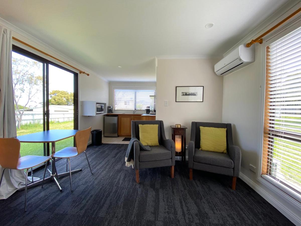 The Baby Penguin - B&B Bicheno