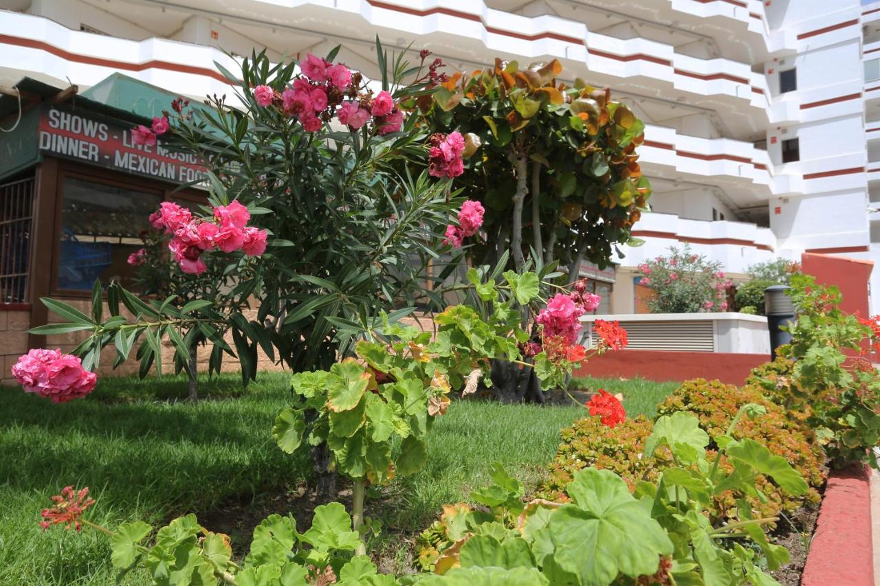 AGAETE PARQUE: APARTAMENTO VISTA PISCINA - Ferienwohnung