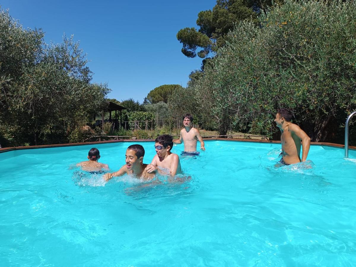 Agriturismo la Romanella - B&B Viterbo