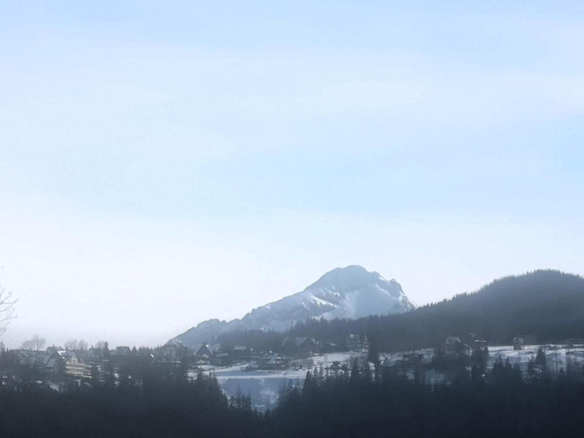 Apartament Widokowy Wiesia - B&B Zakopane
