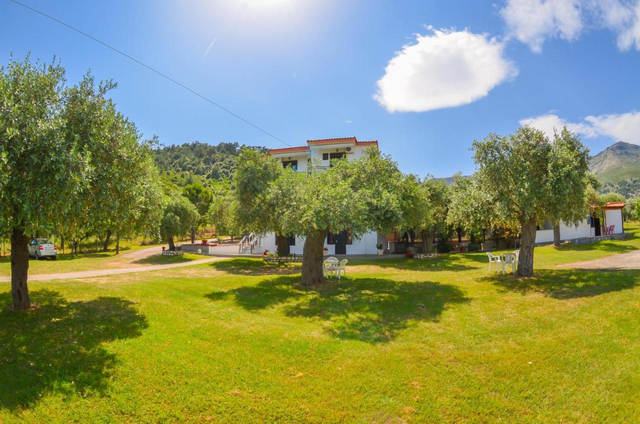 Monolocale con Vista Giardino