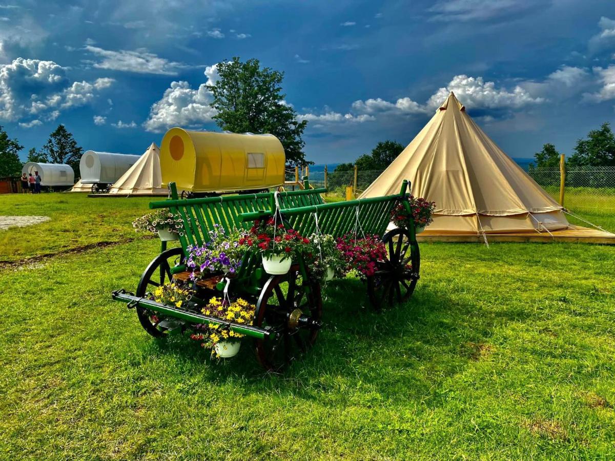 Carul cu Stele-Glamping - B&B