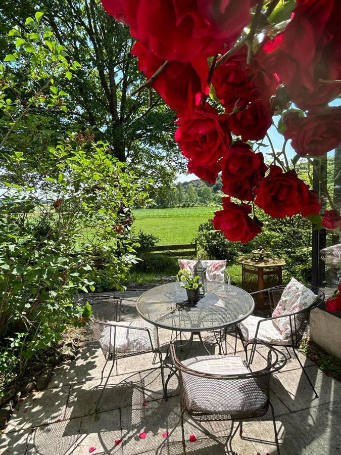 Ferienwohnung An der Loipe - B&B Lichtenstein