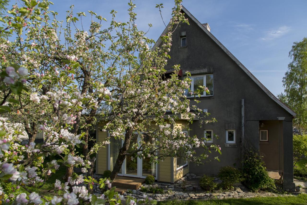 Kaevu Holiday House - Ferienwohnung