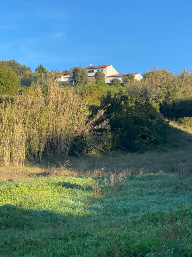 Casa do Horizonte - B&B Bombarral