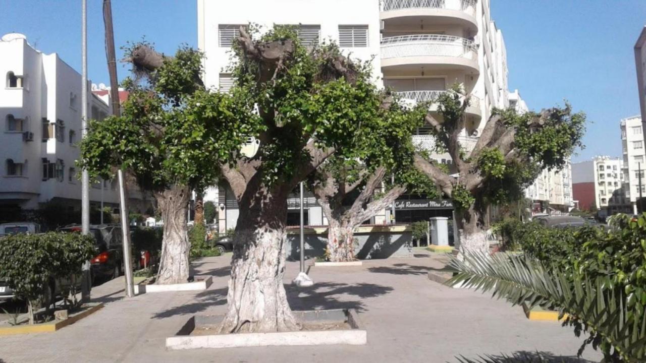 Beautiful Apartment Holiday with Terrace, Casablanca - Ferienwohnung Casablanca