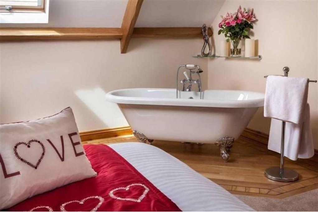 Trefaen Cottage - Bed and Breakfast