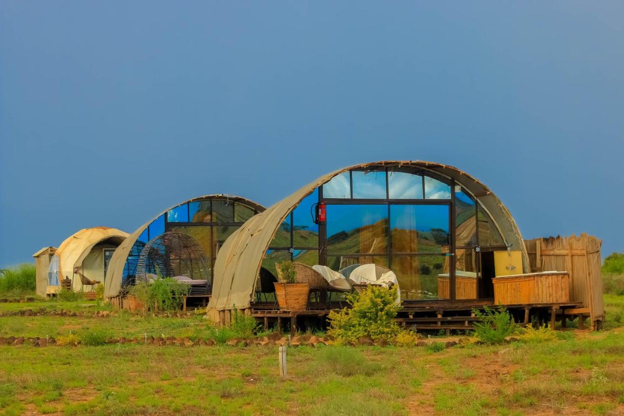 B&B Amboseli - Amanya 2-Bed Lioness Family Tent in Amboseli - Bed and Breakfast Amboseli