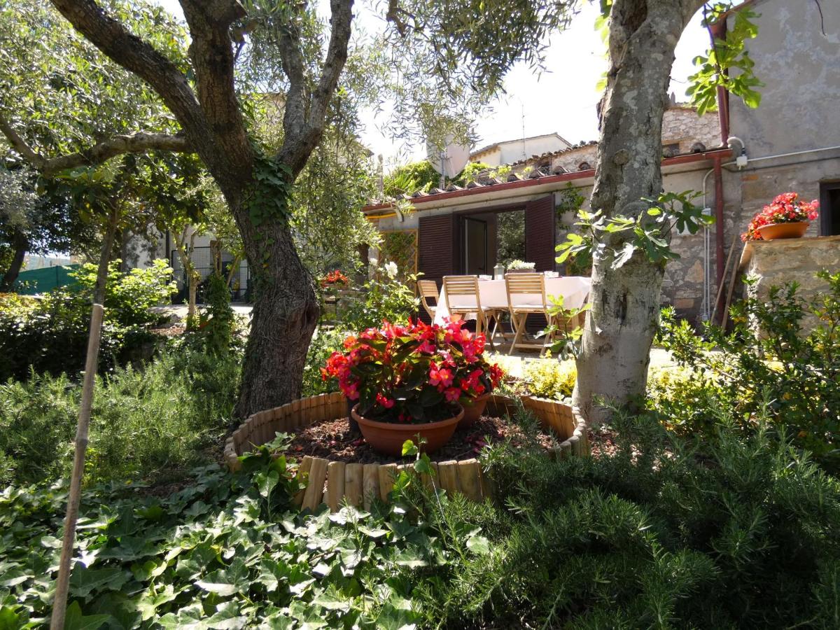 SCAPPO IN UMBRIA, la casa di Giuliana - Ferienwohnung Lugnano in Teverina