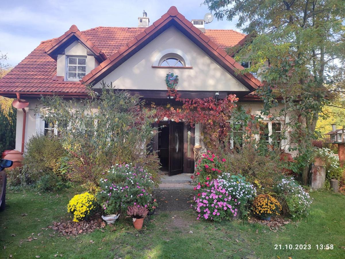 Apartament Urocze miejsce - B&B