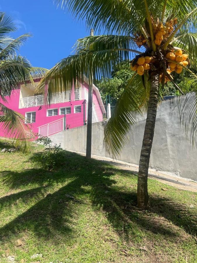 Haut de villa Amour caché - B&B