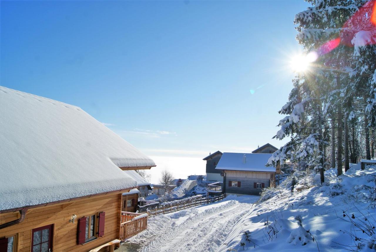 Großes Ferienhaus mit 5 Schlafzimmer & 4 Bäder - B&B Pöllauberg