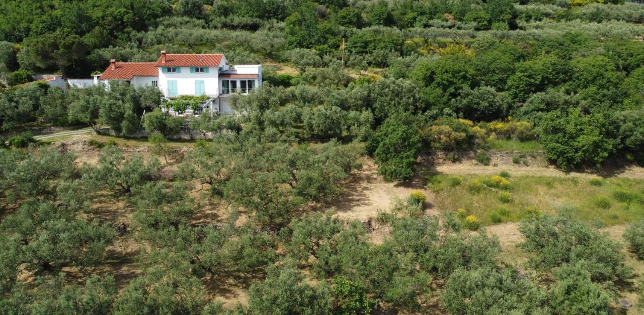 B&B Ankaran - House among olive trees with a sea view 3 - Bed and Breakfast Ankaran