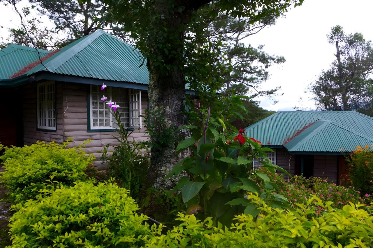 Saint Joseph Inn - B&B