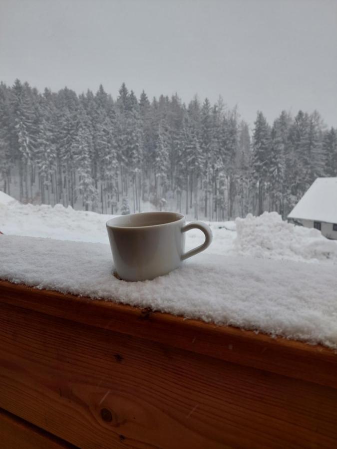 Apartmán Bára - B&B Černý Důl