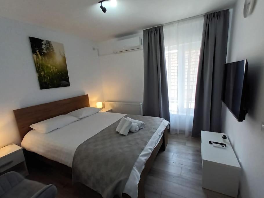 Old Town Studio 2 Apartment nr 4 - Chambres d’hôtes Baia Mare