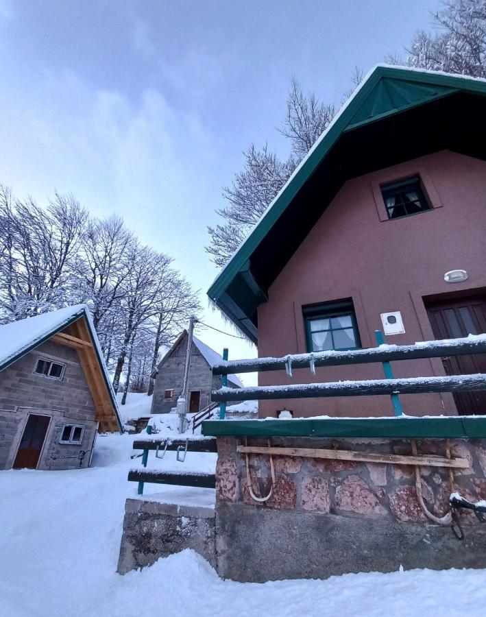 B&B Žabljak - Vila Darija - Bed and Breakfast Žabljak