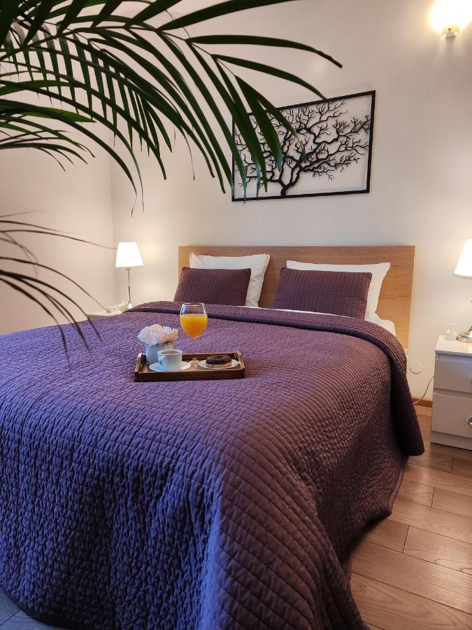 F-3 Kraków Rynek-Wawel O&P ApartFamily - B&B Cracovia