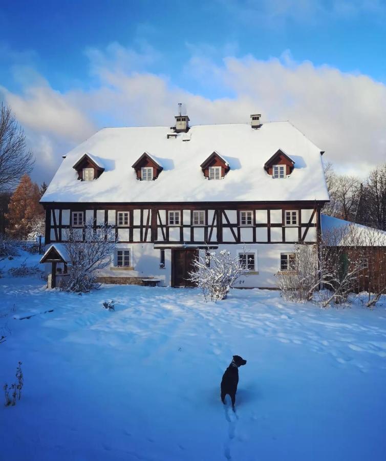 Dom pod Mandragorą - B&B Świeradów-Zdrój