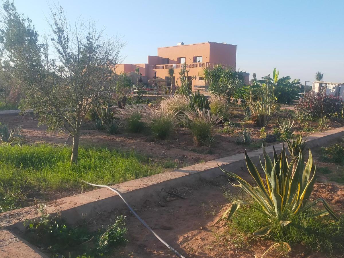 chez JM saida - B&B