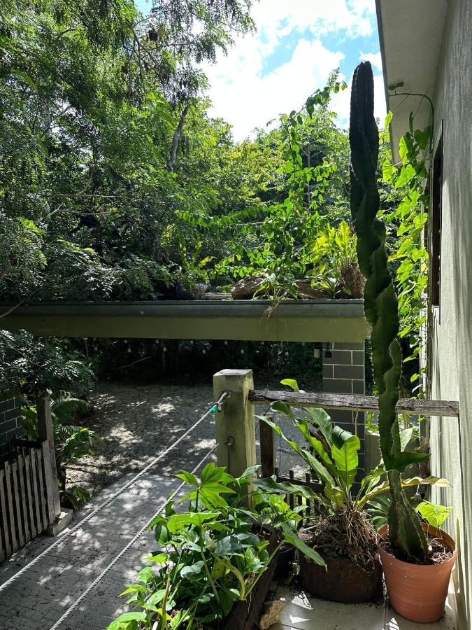 Apartment mit Terrasse