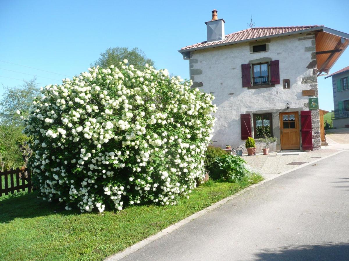 B&B Nonville - Gîte Bonvillet, 3 pièces, 5 personnes - FR-1-589-103 - Bed and Breakfast Nonville