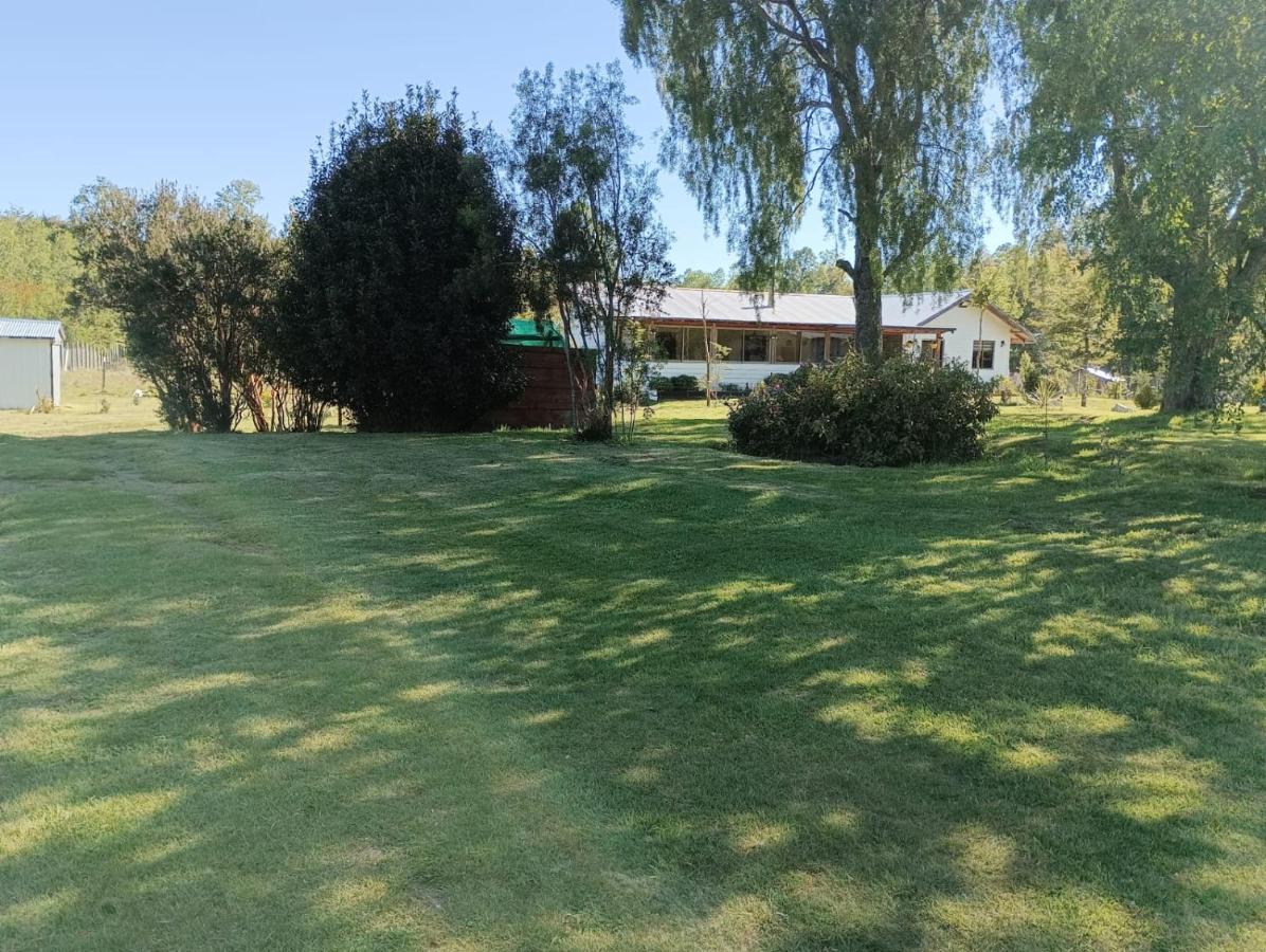 Casa Cudico bajo- Lican ray - B&B Villarrica