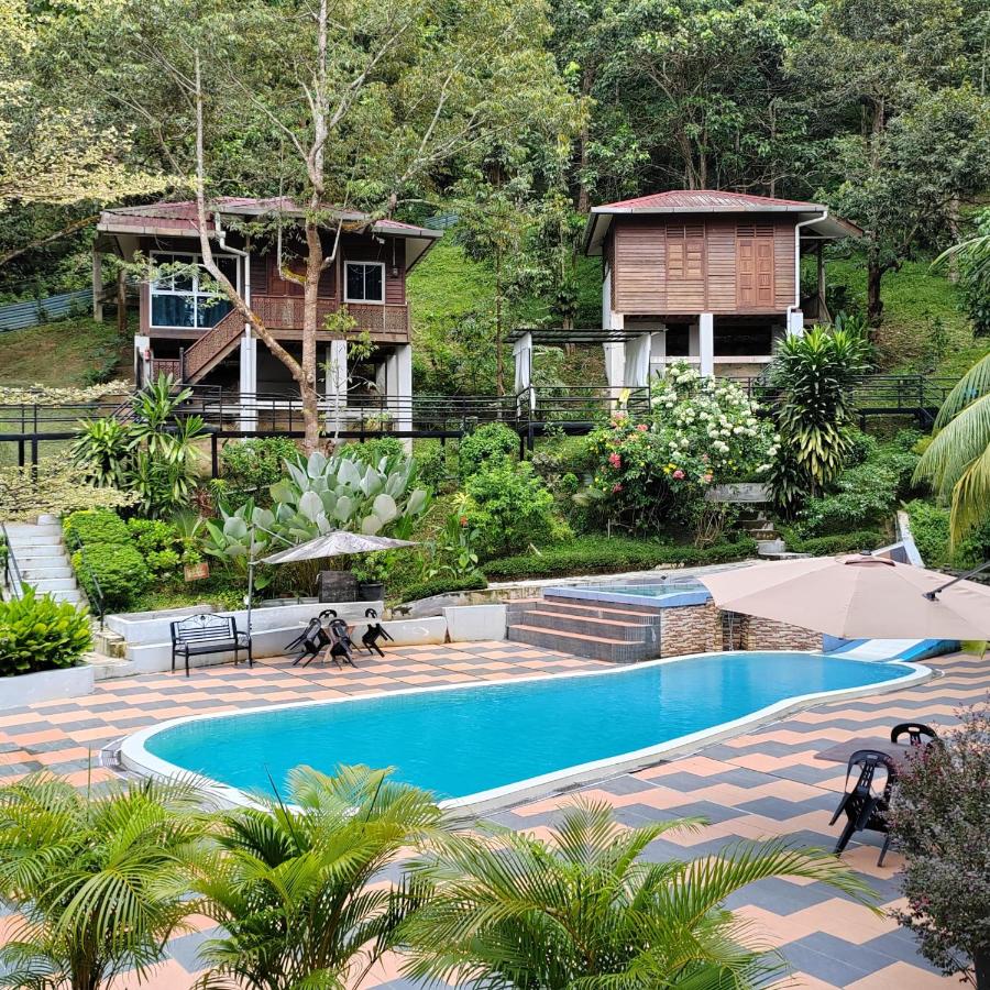 D'Bukit Forest - B&B