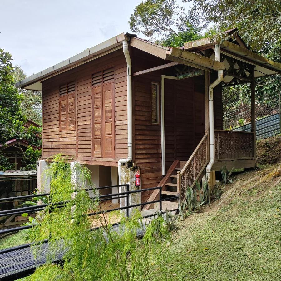 Double Room with Pool View