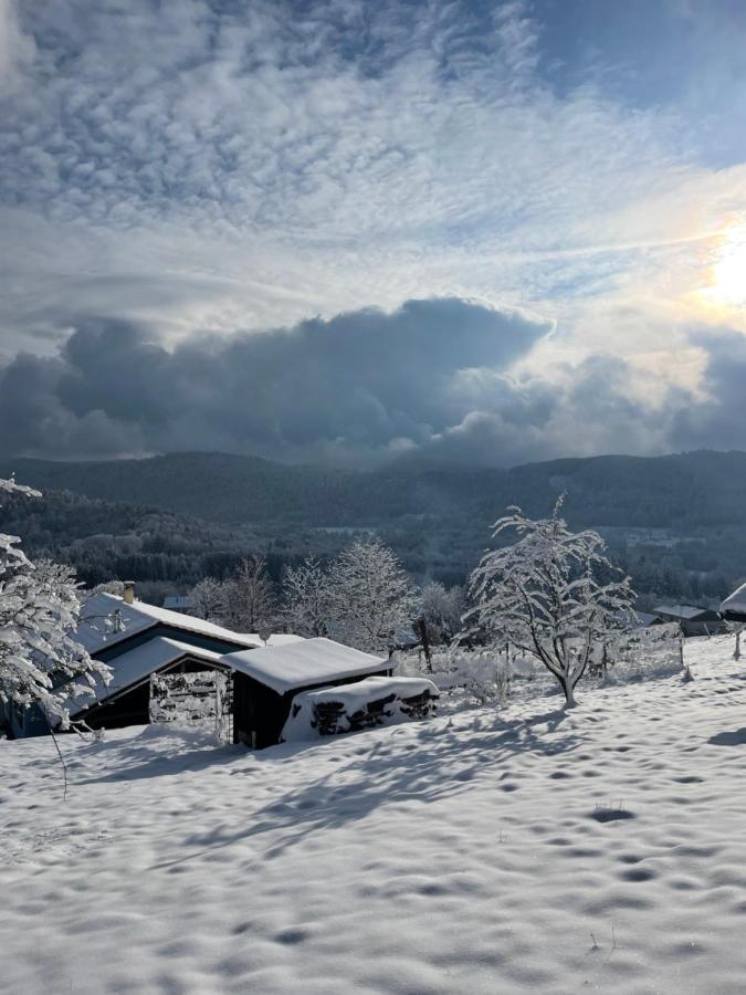 Refuge au coeur des Vosges - B&B Aumontzey