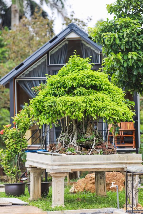 Bungalow mit Gartenblick