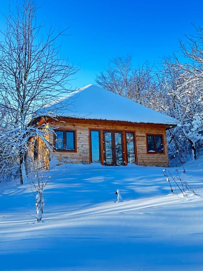 Козацька Фортеця - B&B Pleskachivka