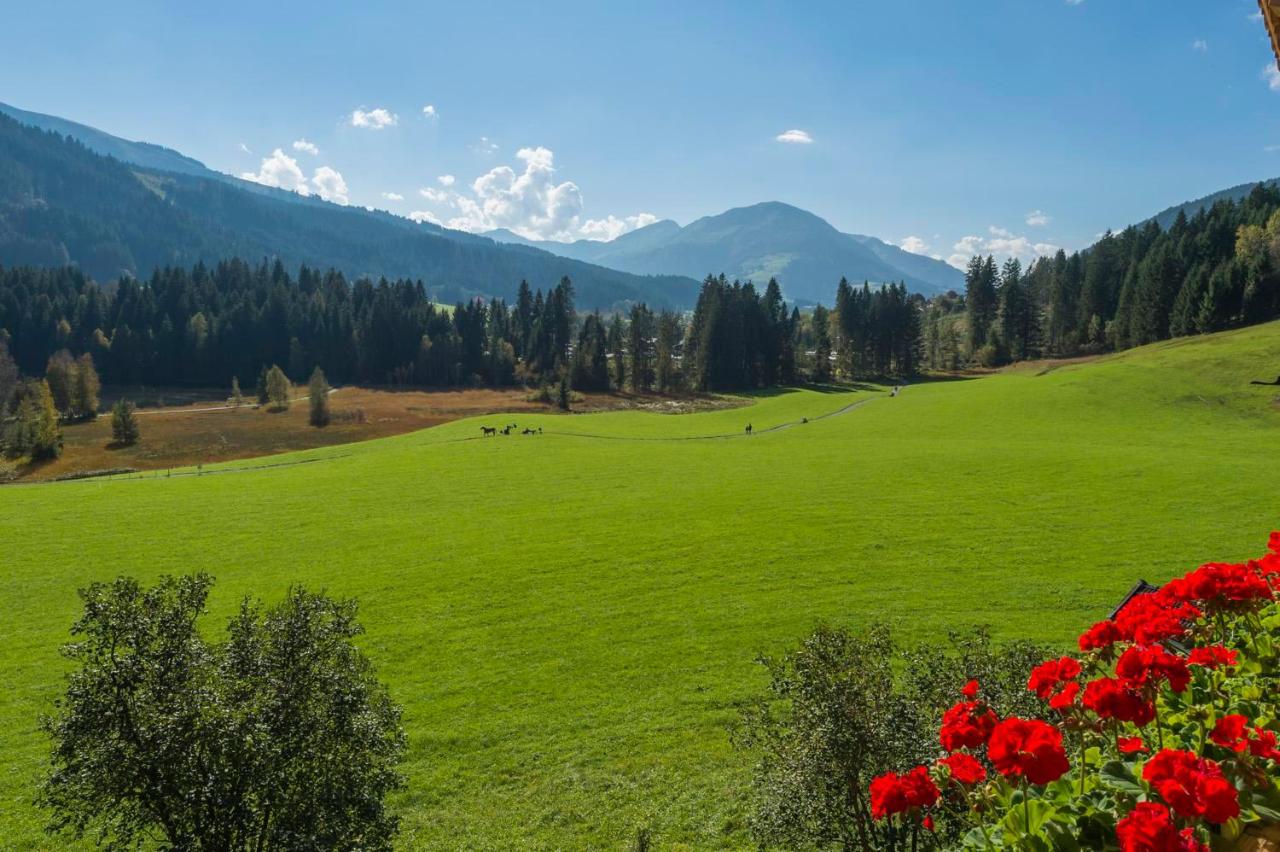 Appartamento con 2 Camere da Letto