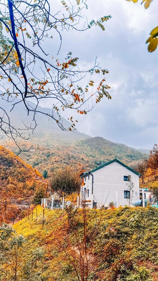 Te baca Qerim - B&B Lekbibaj