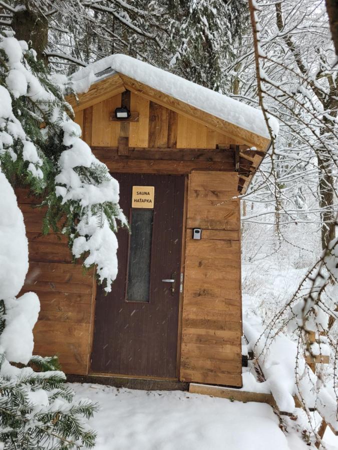 Srub na svahu sjezdovky v Radvanicích - B&B
